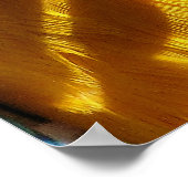 CUTE MACAW POSTER (Hoek)