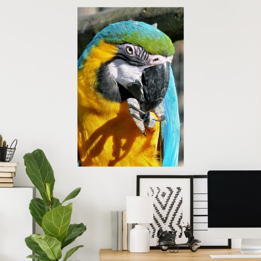 CUTE MACAW POSTER (Thuiskantoor)