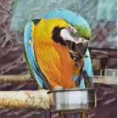 CUTE MACAW POSTER