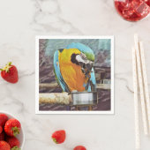 CUTE MACAW SERVET (Insitu)