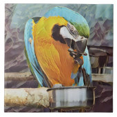 CUTE MACAW TEGELTJE (Voorkant)