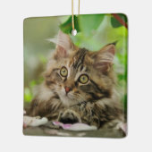 Cute Maine Coon Cat Kitten Portret - porcelein Keramisch Ornament (Links)