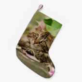 Cute Maine Coon Cat Kitten Santa mantle Kleine Kerstsok (Voorkant (Hangend))
