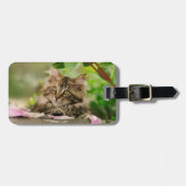 Cute Maine Coon kitten Bagagelabel (Voorkant horizontaal)