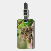 Cute Maine Coon kitten Bagagelabel (Voorkant verticaal)