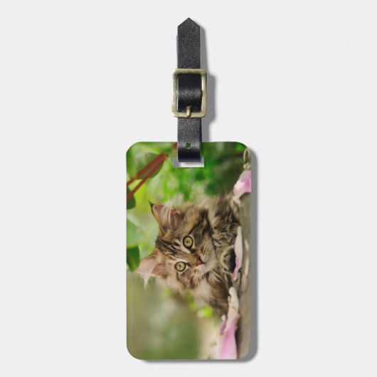 Cute Maine Coon kitten Bagagelabel (Voorkant verticaal)