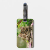 Cute Maine Coon kitten Bagagelabel (Achterkant verticaal)