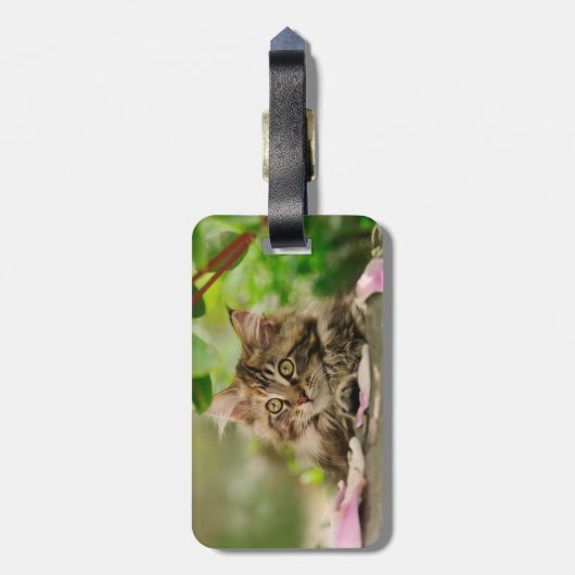 Cute Maine Coon kitten Bagagelabel (Achterkant verticaal)