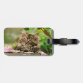 Cute Maine Coon kitten Bagagelabel (Achterkant horizontaal)