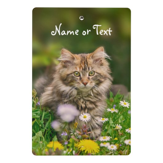 Cute Maine Coon Kitten Cat Flower - Gepersonalisee Mini Klembord (Achterkant)