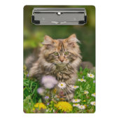Cute Maine Coon Kitten Cat Flower - Gepersonalisee Mini Klembord (Voorkant)