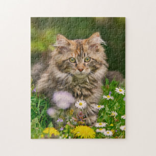 Cute Maine Coon Kitten Cat Flowers - Game Jigzaag Legpuzzel