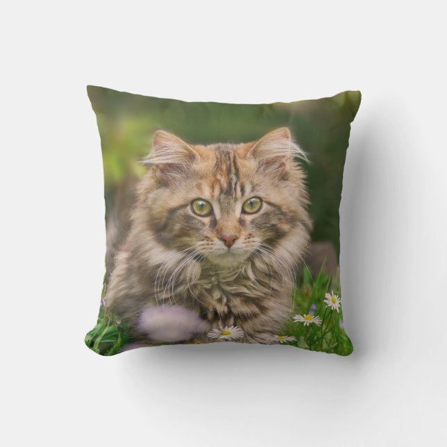 Cute Maine Coon Kitten Cat Flowers - voor buiten Buitenkussen (Voorkant)