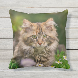 Cute Maine Coon Kitten Cat Flowers - voor buiten Buitenkussen