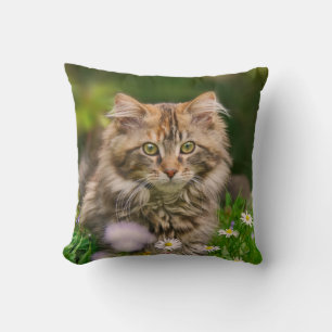Cute Maine Coon Kitten Cat in a Flower Meadow Kussen