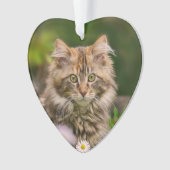 Cute Maine Coon Kitten Cat in a Flower Meadow Ornament (voorkant)