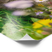 Cute Maine Coon Kitten Cat in a Flowery Meadow - Foto Afdruk (Hoek)