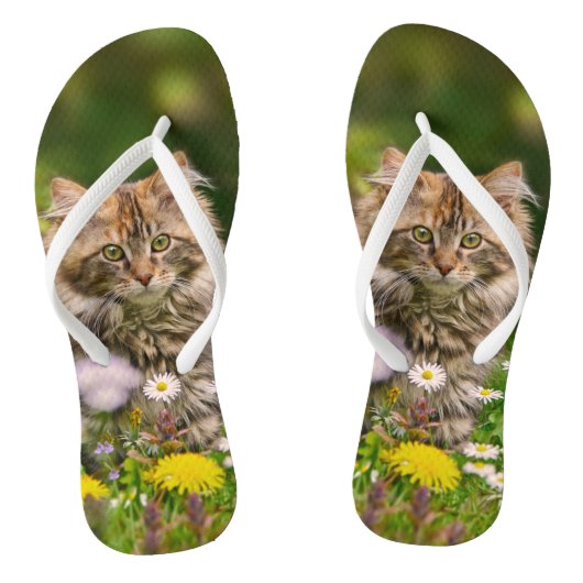 Cute Maine Coon Kitten Cat in Flower Meadow Photo Teenslippers (Voetbed)
