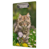 Cute Maine Coon Kitten Cat in Meadow Personalized Klembord (Links)