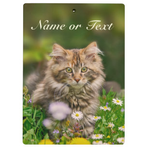 Cute Maine Coon Kitten Cat in Meadow Personalized Klembord