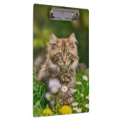 Cute Maine Coon Kitten Cat in Meadow Personalized Klembord (Rechts)