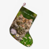 Cute Maine Coon Kitten Cat - mantel Personalized Kleine Kerstsok (Voorkant (Hangend))