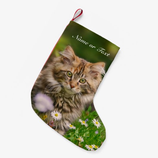 Cute Maine Coon Kitten Cat - mantel Personalized Kleine Kerstsok (Voorkant (Hangend))