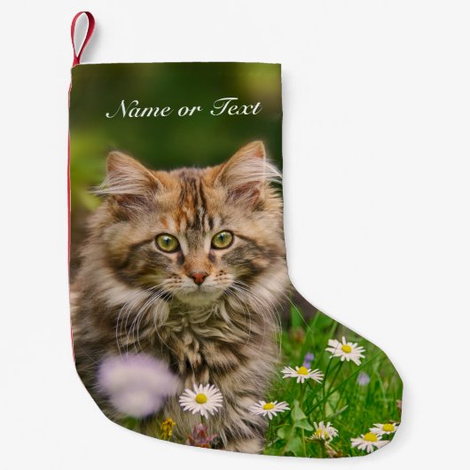 Cute Maine Coon Kitten Cat - mantel Personalized Kleine Kerstsok (Voorkant)
