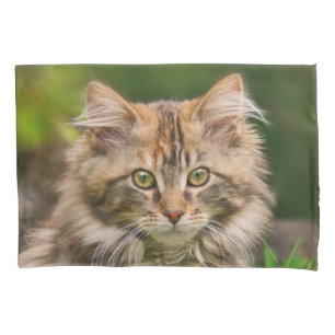 Cute Maine Coon Kitten Cat Portrait - Pillow-Hoesj Kussensloop