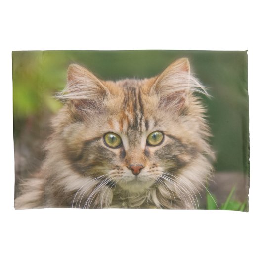 Cute Maine Coon Kitten Cat Portrait - Pillow-Hoesj Kussensloop (Voorkant)