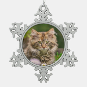 Cute Maine Coon Kitten Cat Portret Foto ** Tin Sneeuwvlok Ornament