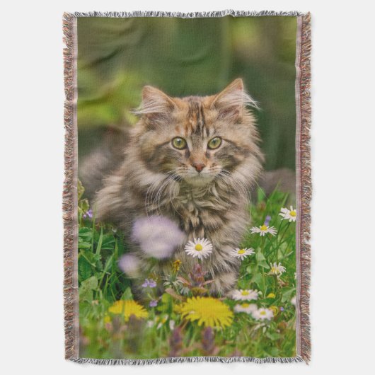 Cute Maine Coon Kitten Cat Sitting in Flowers Deken (Voorkant Verticaal)