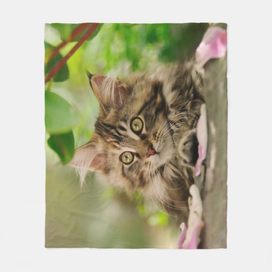 Cute Maine Coon Kitten cozy Fleece Deken (Voorkant)