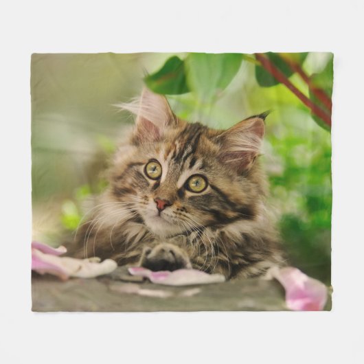 Cute Maine Coon Kitten cozy Fleece Deken (Voorkant (Horizontaal))