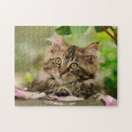 Cute Maine Coon kitten die in een tuin rust - Legpuzzel