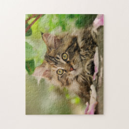 Cute Maine Coon kitten die in een tuin rust - Legpuzzel