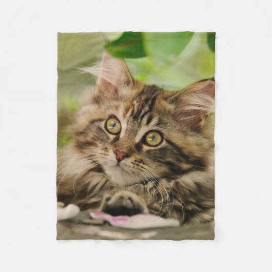 Cute Maine Coon kitten Fleece Deken (Voorkant)