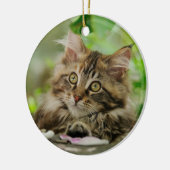 Cute Maine Coon kitten Keramisch Ornament (Links)