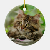 Cute Maine Coon kitten Keramisch Ornament (Achterkant)