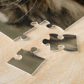 Cute Maine Coon kitten Legpuzzel (Zijkant)