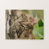 Cute Maine Coon kitten Legpuzzel (Horizontaal)