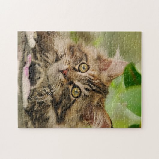 Cute Maine Coon kitten Legpuzzel (Horizontaal)