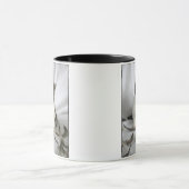 Cute Maine Coon kitten met veren mok (Midden)