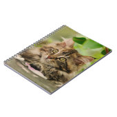 Cute Maine Coon kitten Notitieboek (Linkerzijde)