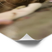 Cute Maine Coon kitten Poster (Hoek)