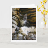 Cute Maine Coon kittens greeting card Kaart (Gele Bloem)