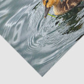 Cute Mallard Ducklings Photo Tissuepapier (Detail)