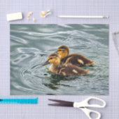 Cute Mallard Ducklings Photo Tissuepapier (Craft)
