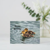 Cute Mallard-eendjes Foto Verjaardag Briefkaart (Staand voorkant)