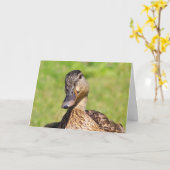 Cute Mallard krijgt een goede Kaart (Gele Bloem)
